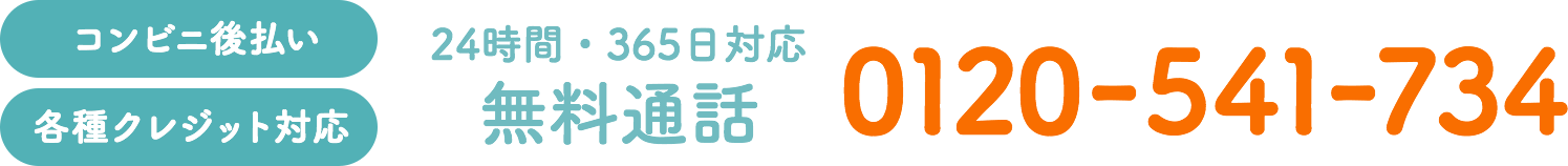 【コンビニ後払い】【各種クレジット対応】24時間・365日対応 無料通話 0120-541-734